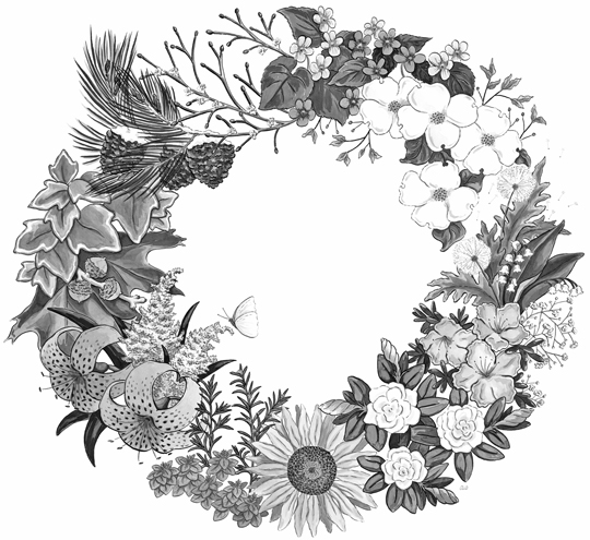 Seasonal Wreath